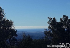 Terreno Agrícola em Monchique