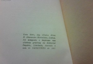 imagem_8