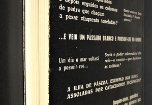 imagem_8
