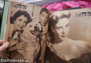 imagem_4