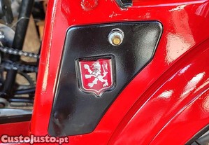 imagem_10