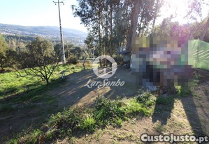 imagem_8