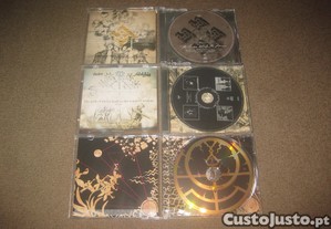 imagem_4
