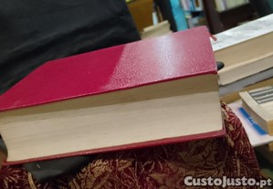 imagem_10