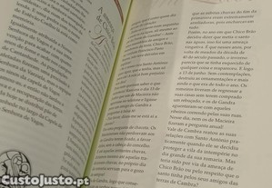imagem_9