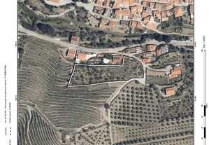 Propriedade rústica Alto Douro vinhateiro gravuras Foz Côa