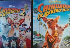 Chihuahua de Beverly Hills (2008/11)