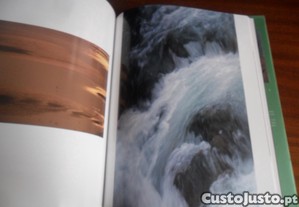 imagem_8