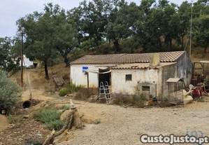 Casa de Campo T1 em Relquias de 47,00 m