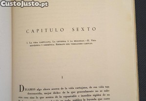 imagem_8