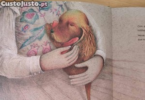 imagem_3