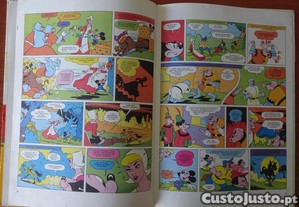 imagem_4
