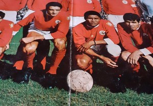 imagem_6