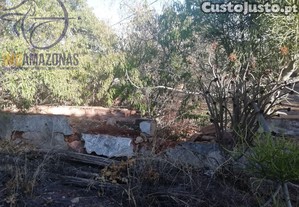 imagem_6