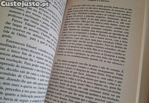 imagem_8