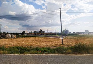 Terreno Agrícola em Salvaterra de Magos (S438)