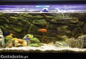 Aqurio e todo o material do hobby (mais ofertas)