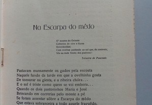 imagem_2