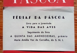 imagem_7