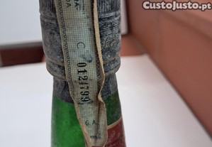 imagem_4