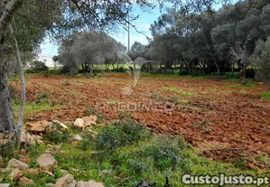 Terreno rustico perto de olhão