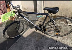 Bicicleta McKenzie