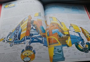 imagem_7