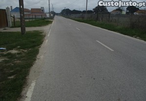 imagem_8