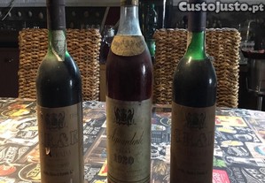 1920 C.R.& F Bairrada