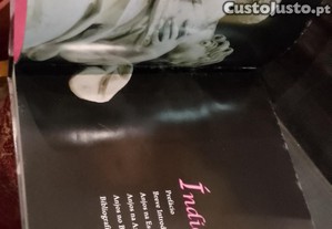 imagem_13