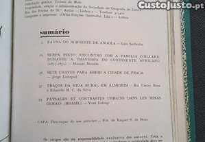 imagem_8