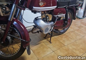 imagem_2