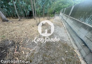 imagem_25