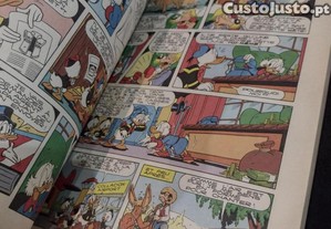 imagem_6