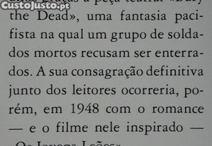 imagem_4