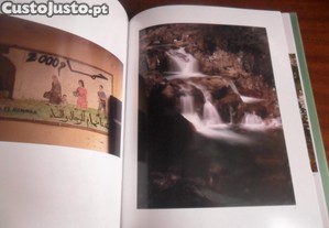 imagem_6