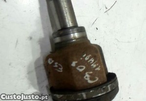 imagem_3