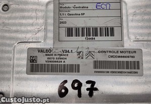 imagem_3