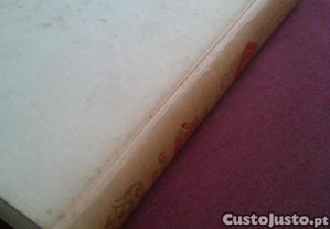 imagem_7