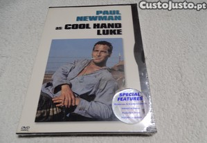 DVD-Coll hand luke-Paul Newman-Selado sem legendas PT