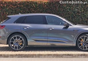 Audi e-tron 55 - 21