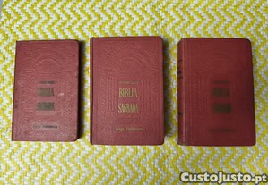 Bíblia (Antigo Testamento) -Trd. P. Matos Soares