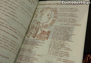 imagem_10