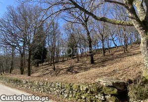 Terreno Montalegre