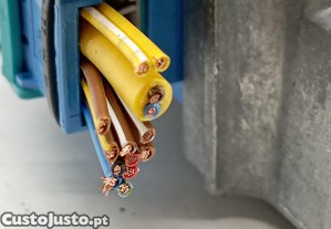 imagem_2