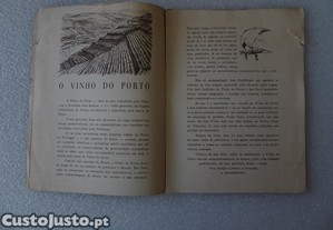 imagem_4