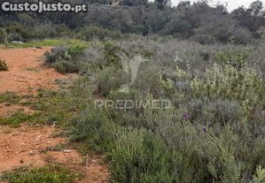 Terreno rusticocom 1960m2 ao lado da estrada m516