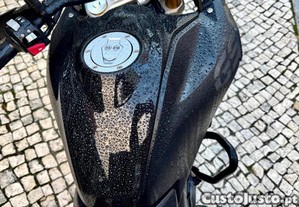 imagem_6