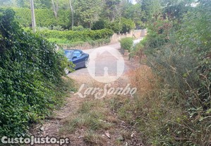 imagem_14