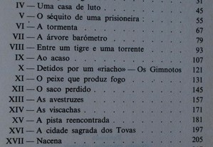 imagem_7